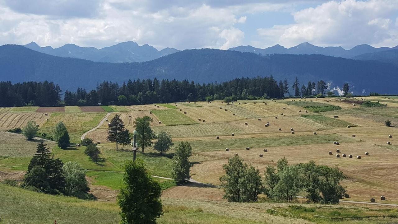 Piccolo Orso Bruno Bed and Breakfast Cavareno Exteriör bild